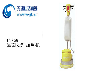 T175W̎